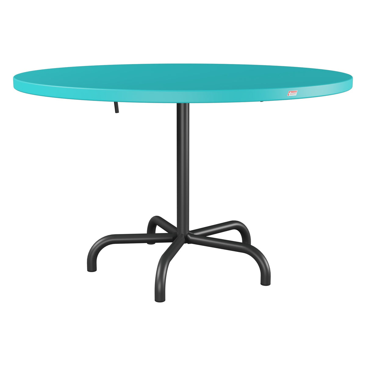 Schaffner Säntis Table repas rabattable Ø117cm – Turquoise 58 / Anthracite 77
