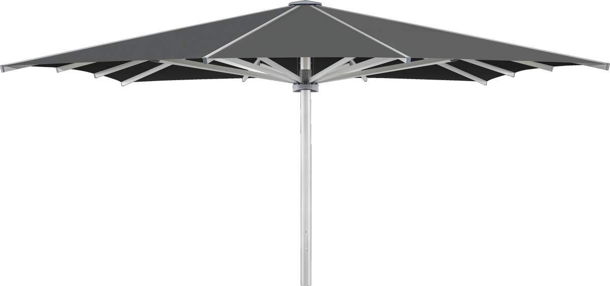 Glatz Parasol PALAZZO Royal carre Cat.5 669 Carbone