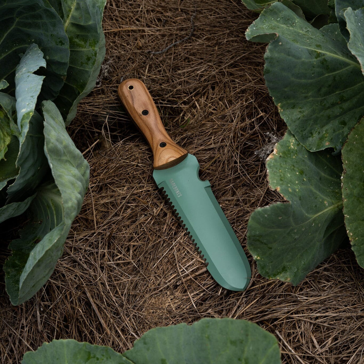 Barebones Hori Hori Classic Mint Couteau de jardin multifonctions