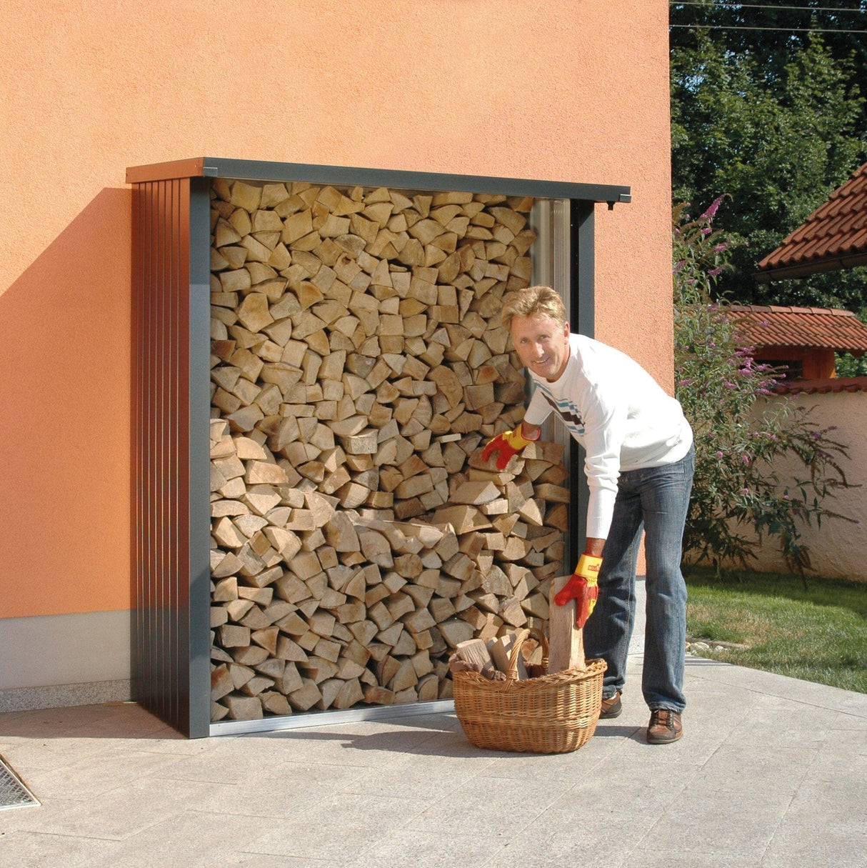 Biohort Abri bûches WoodStock 230