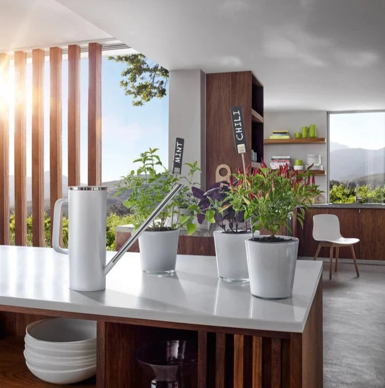 Blomus Limbo Arrosoir 1.5L