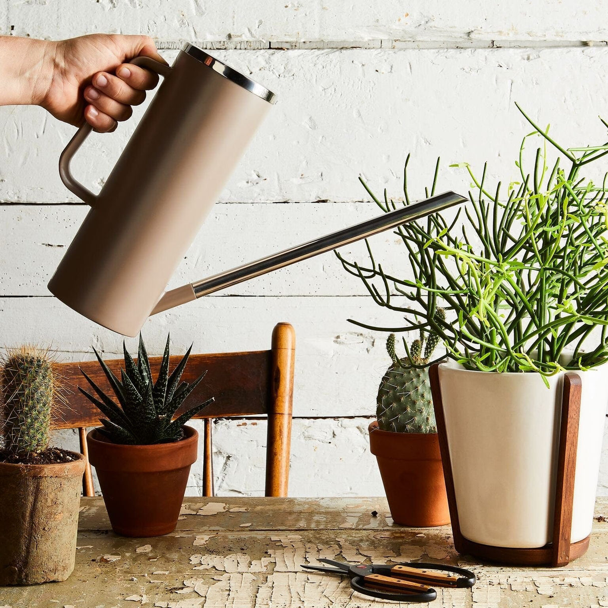 Blomus Limbo Arrosoir 1.5L