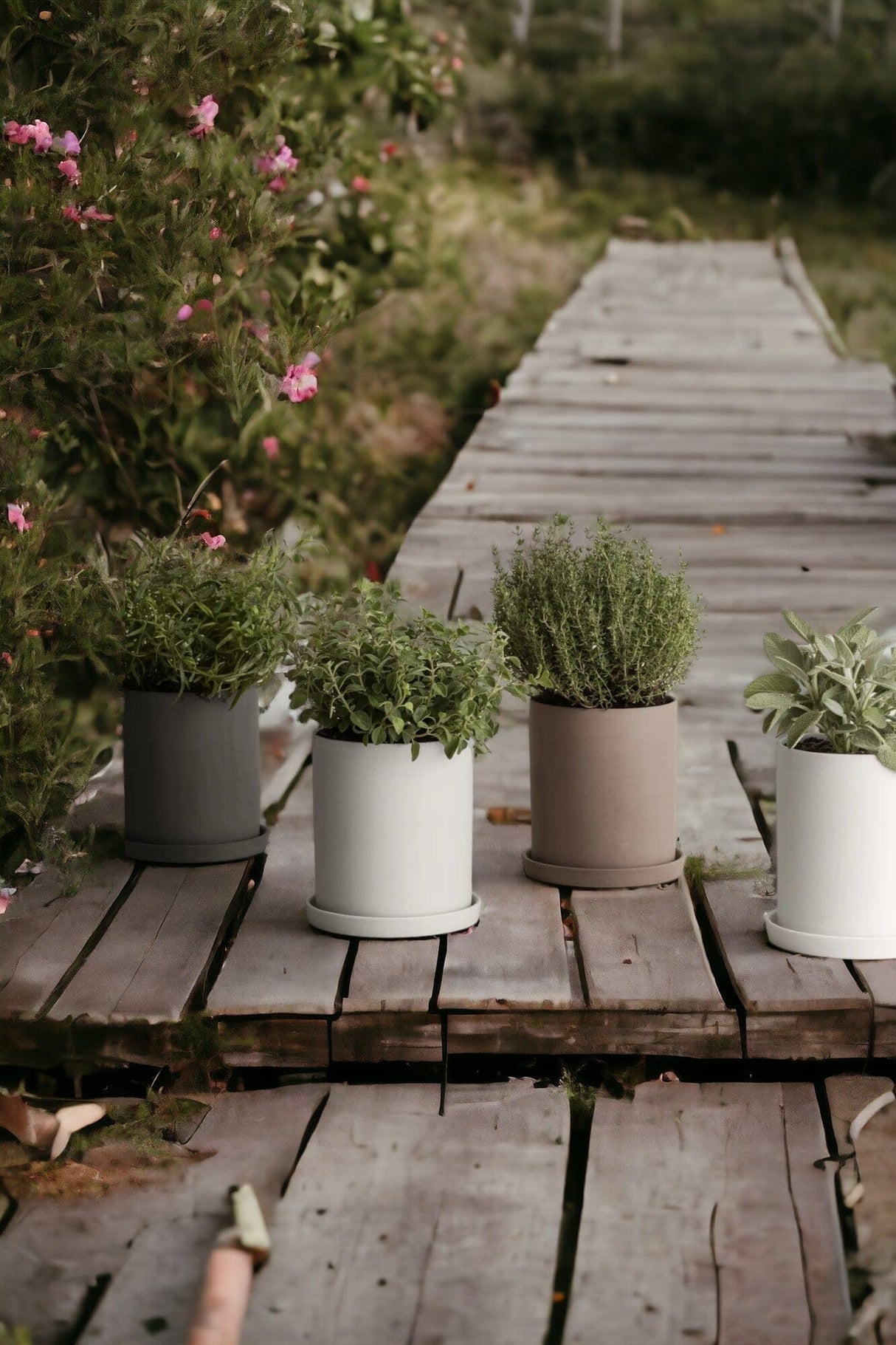 Blomus Nona Large Pot à herbes aromatiques en porcelaine H: 13.5cm Ø12.5cm