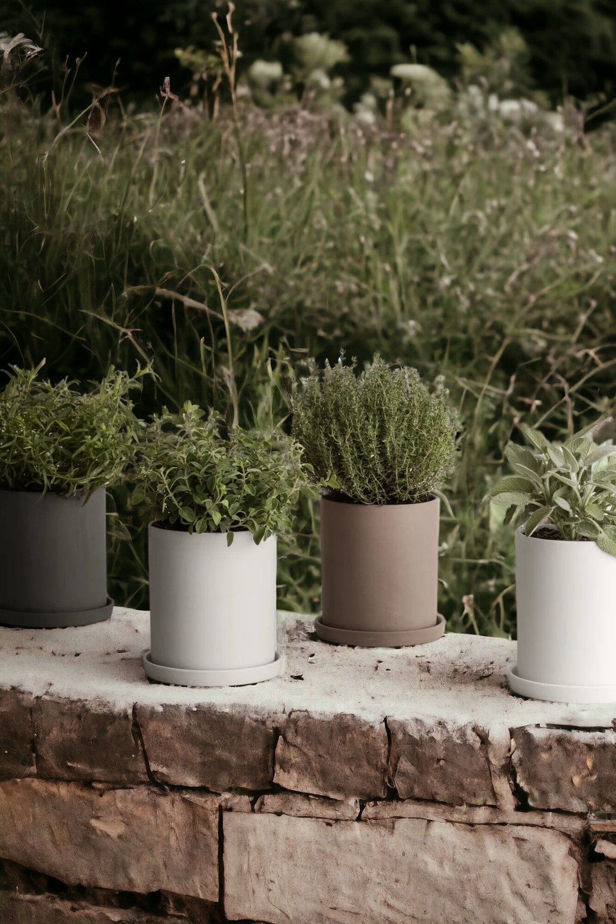 Blomus Nona Large Pot à herbes aromatiques en porcelaine H: 13.5cm Ø12.5cm