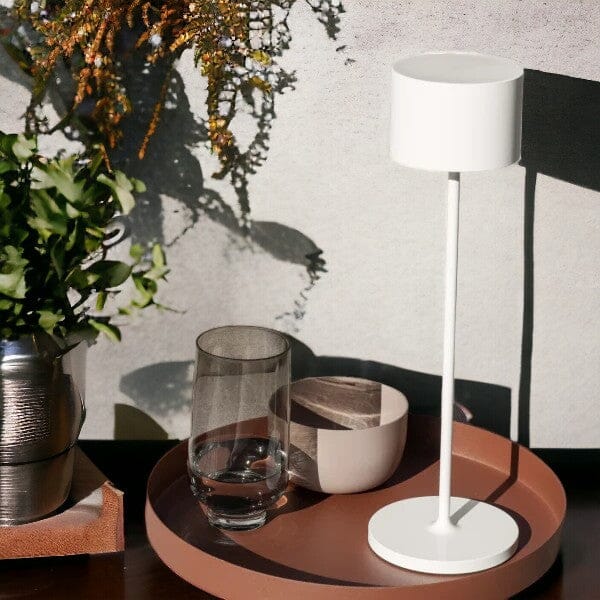 Blomus Reo Plateau Acier