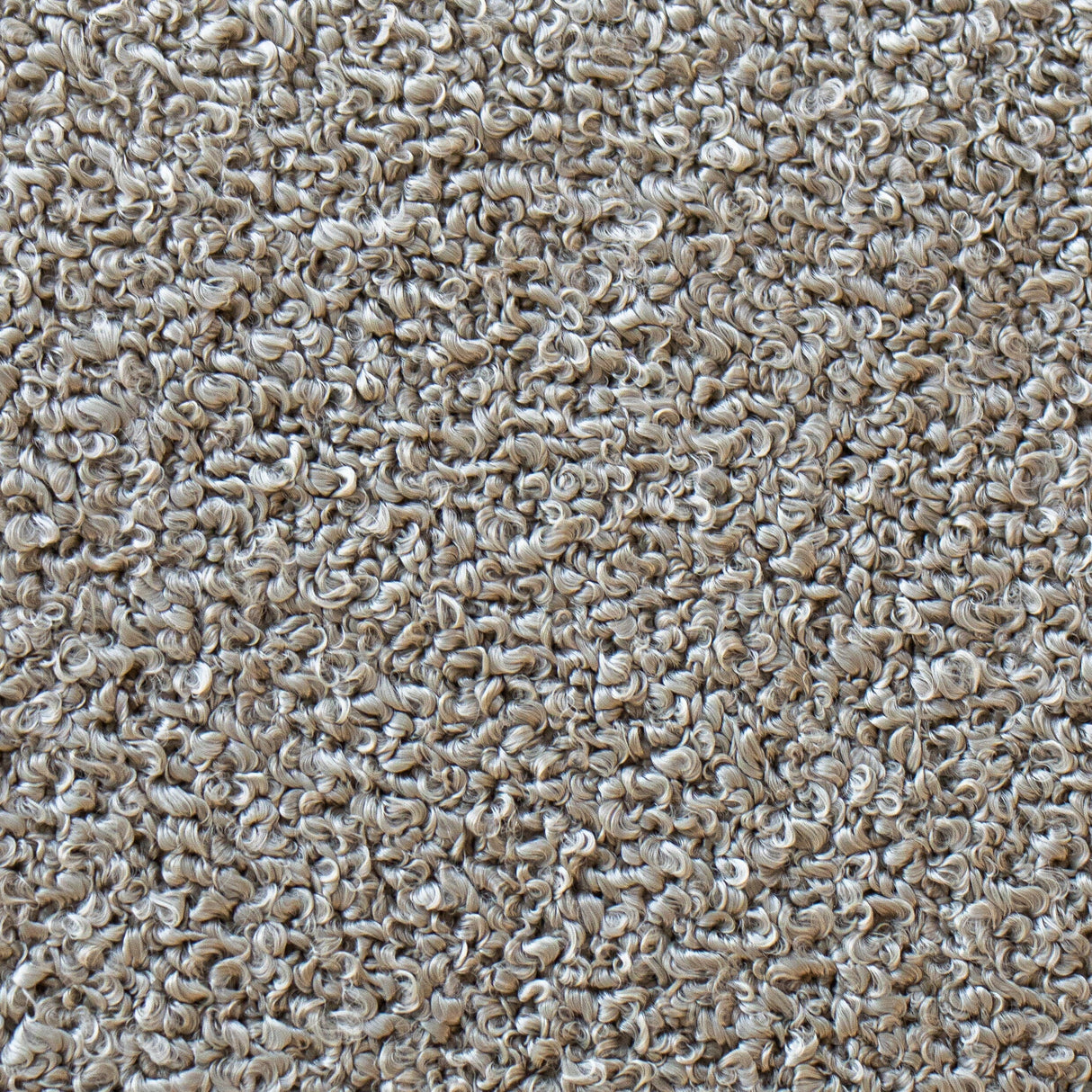 Cane-line Free Coussin déco carré 50x50cm (5240Y)