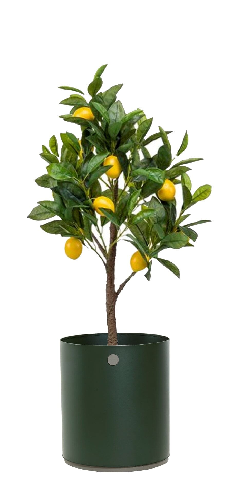 Cane-line Grow Planter Pôt de fleur medium (5772)