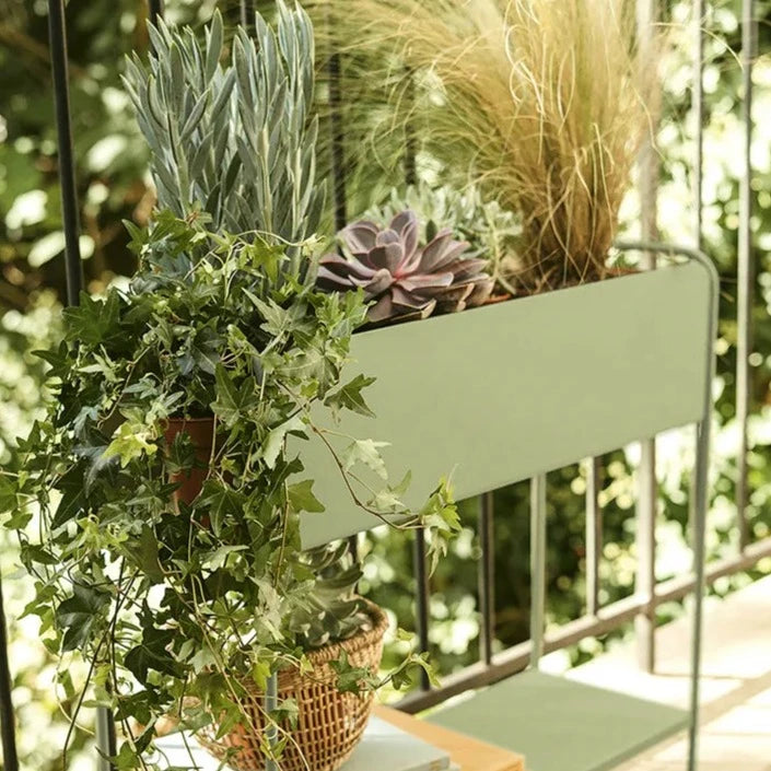 Fermob Picolino Cache Pot H.63cm