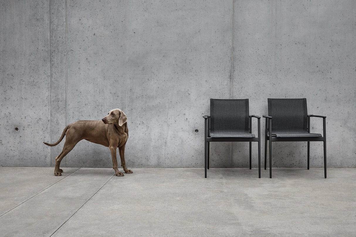 Gloster 180 Fauteuil repas avec accoudoirs en teck