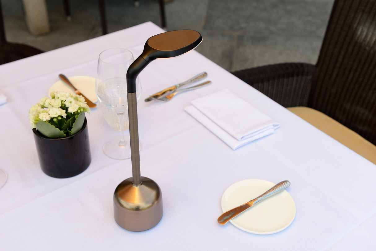 Imagilights Petit Cru Lampe sans fil, télécommande et chargeur en sus