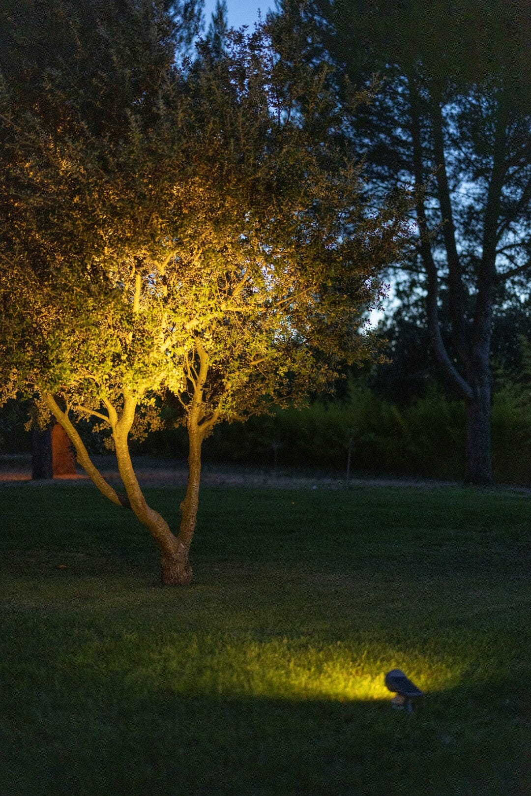 Les Jardins Spot luminaire solaire sans fil 600 Lumens