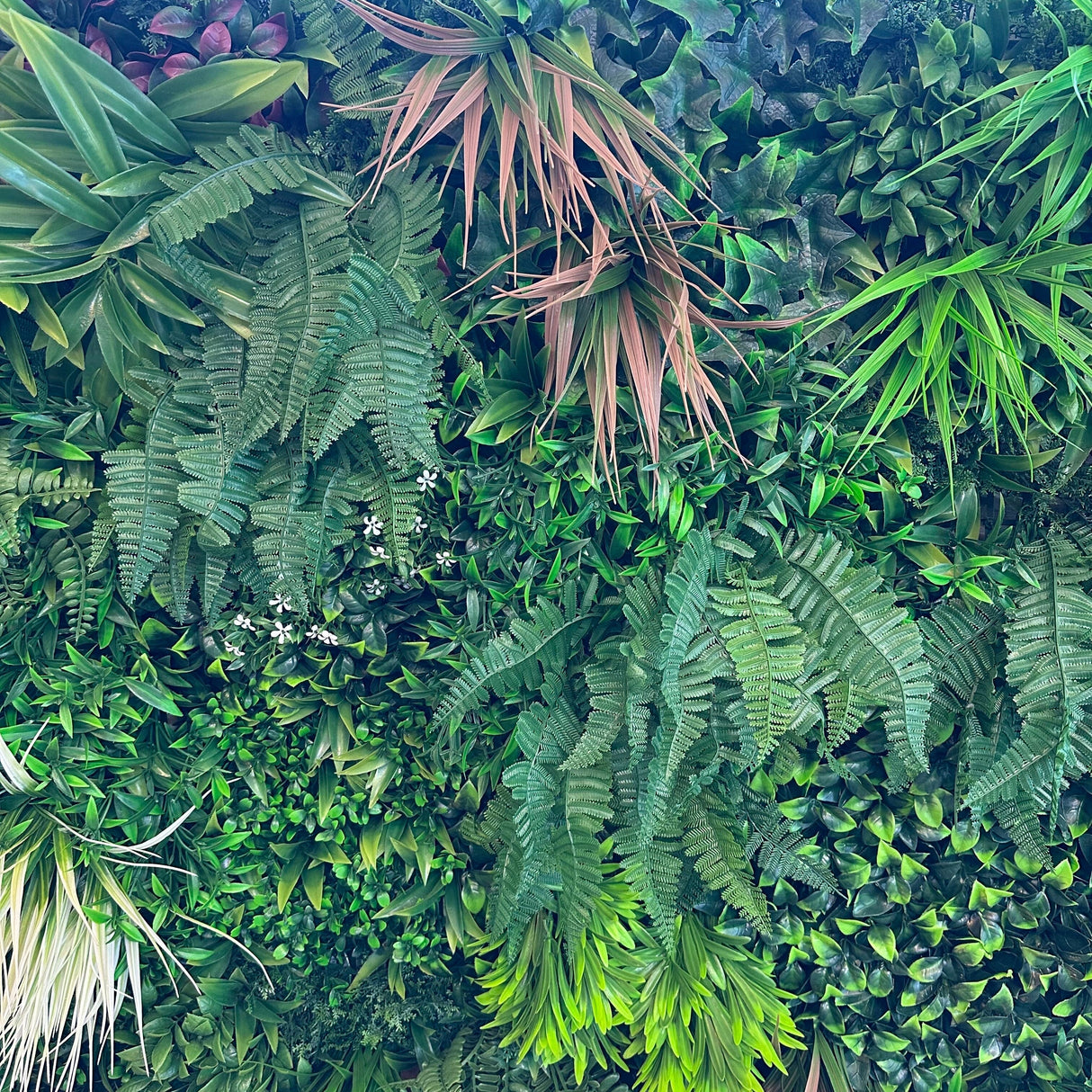 Neogard Plaque murale de plantes végétation mousse artificielle Premium 100x100cm