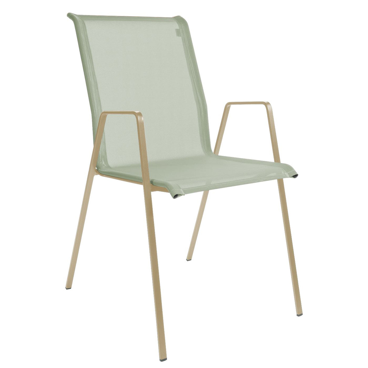Schaffner Luzern Fauteuil repas empilable Marron pastel 83 Vert Crème 26