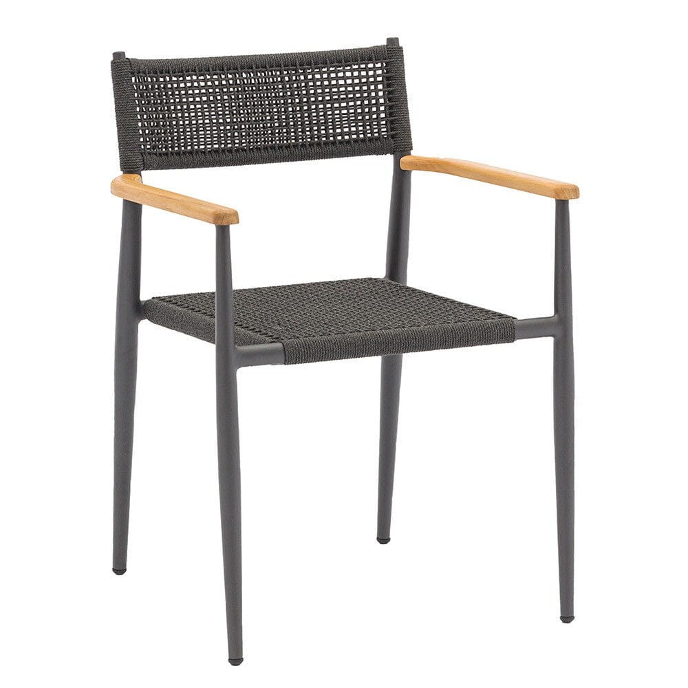 Zebra Ant Fauteuil repas