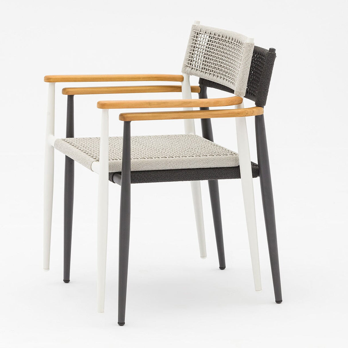 Zebra Ant Fauteuil repas