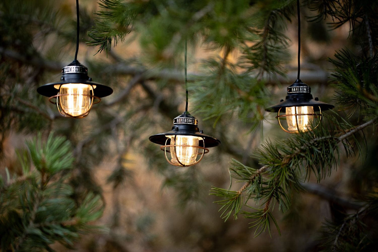 Barebones Edison String lights guirlandes 3 lampes