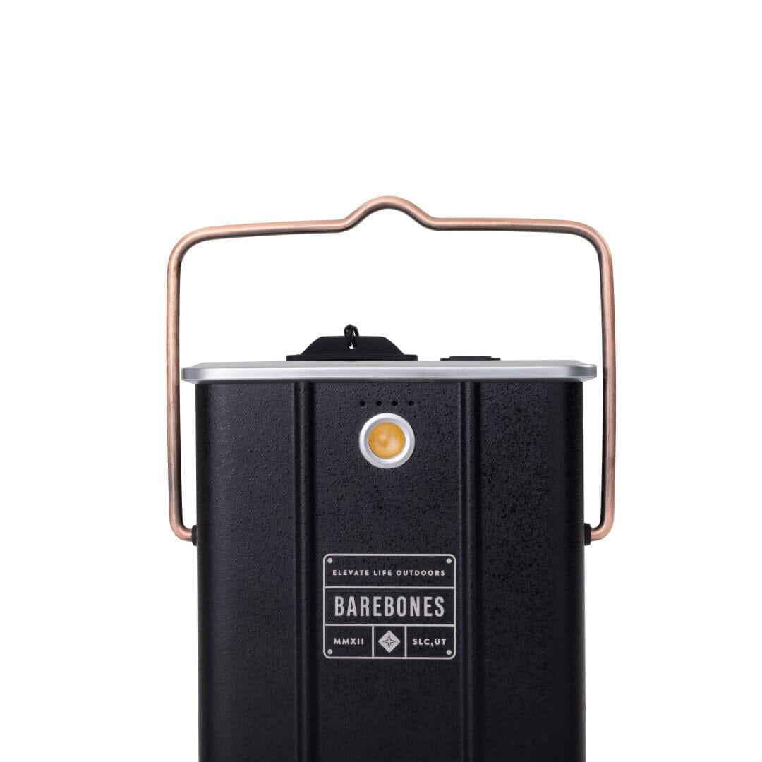 Barebones Powerbank 10000 mAh Batterie d'alimentation