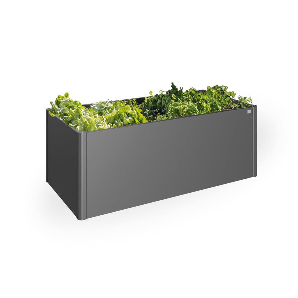 Biohort Potager surélevé 2x1