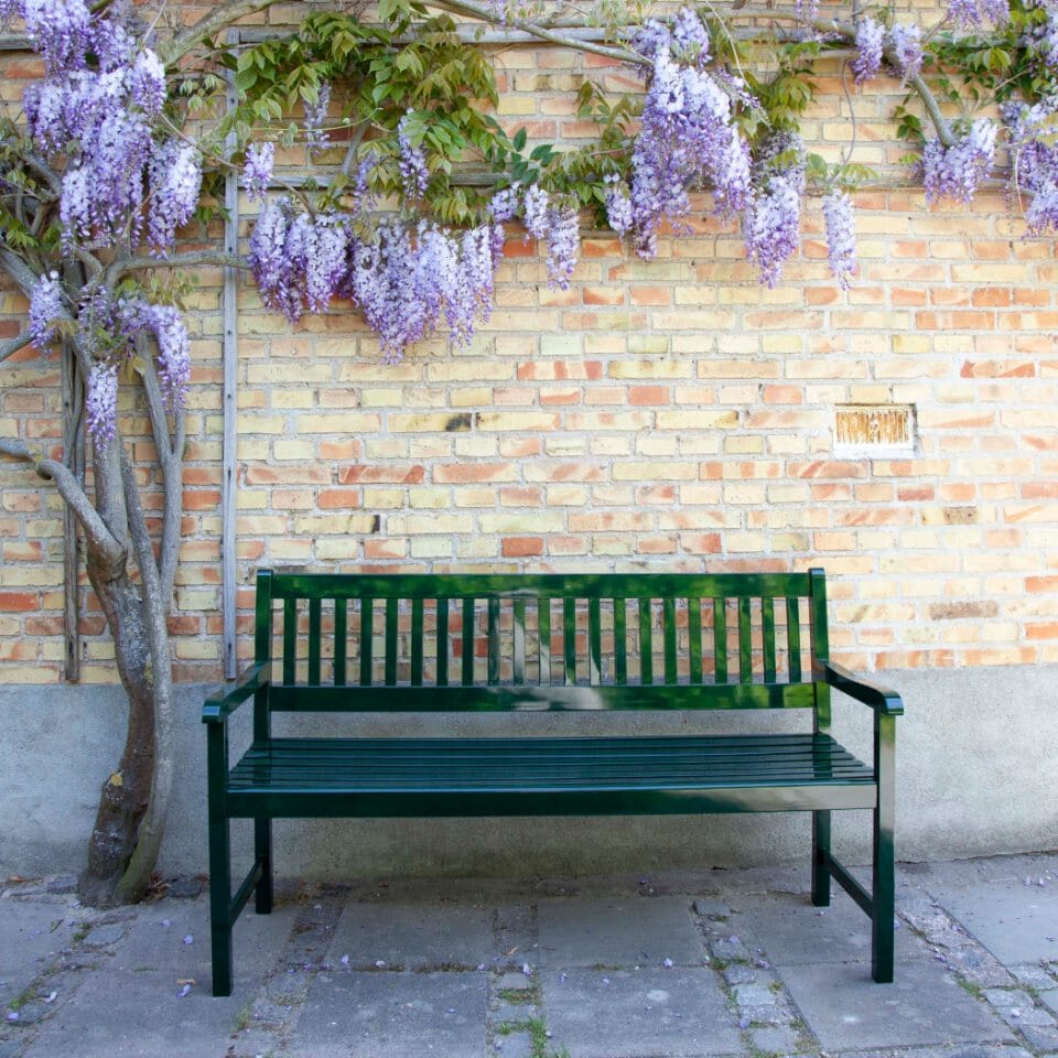 Cinas Brighton Banc Acajou 3 places 150cm