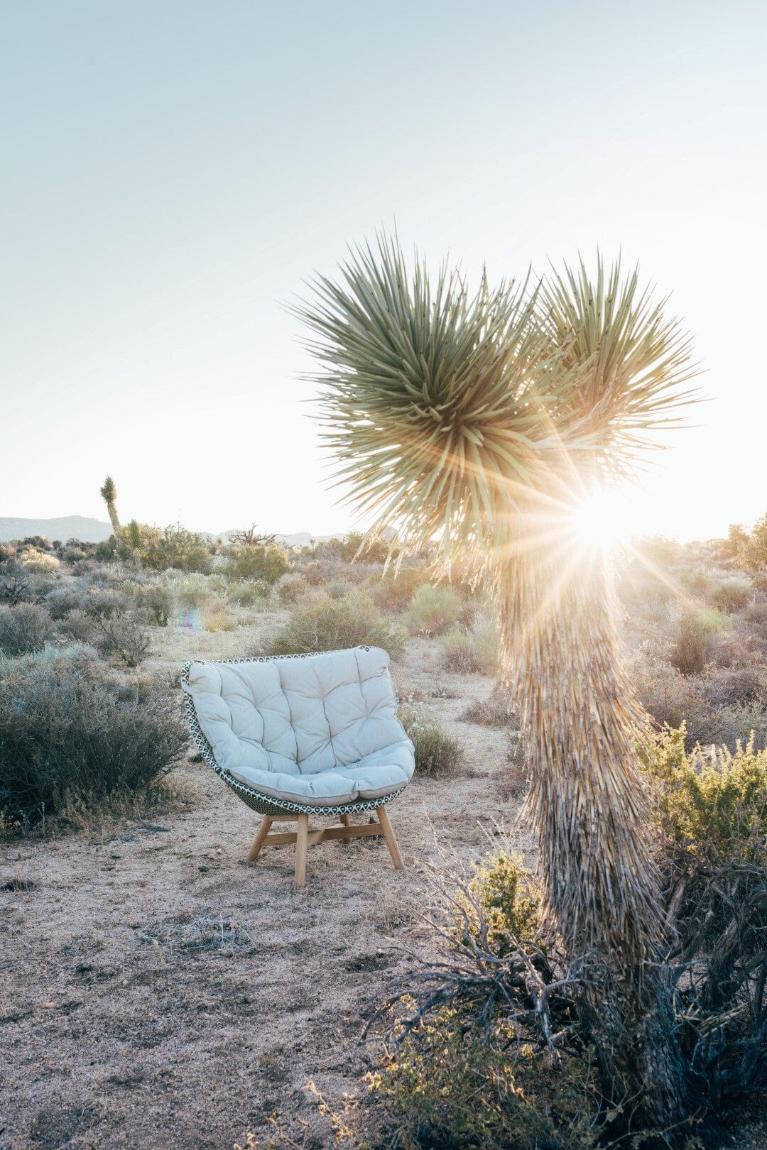 Dedon Mbrace Lounge chair, Coussins en sus