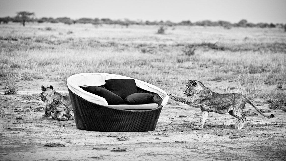 Dedon Orbit Set Loveseat, avec Canopy / Capote en taupe, sling seat, Coussins en sus