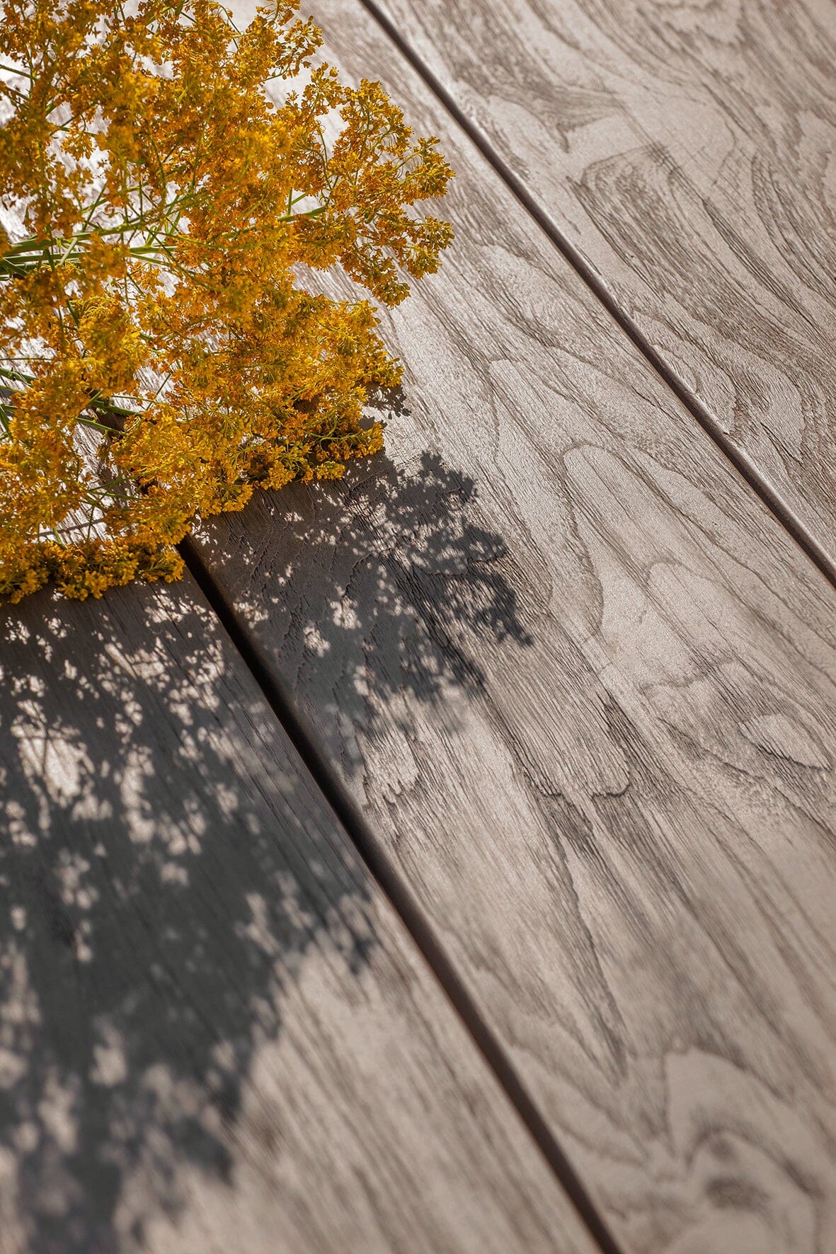 Ethimo Cronos Table Repas à rallonge 220-300x100cm