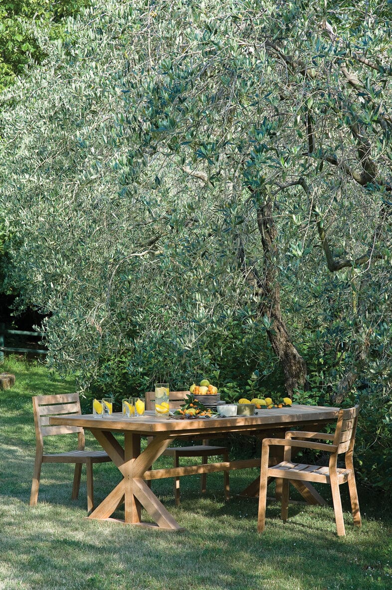 Ethimo Cronos Table Repas à rallonge 220-300x100cm