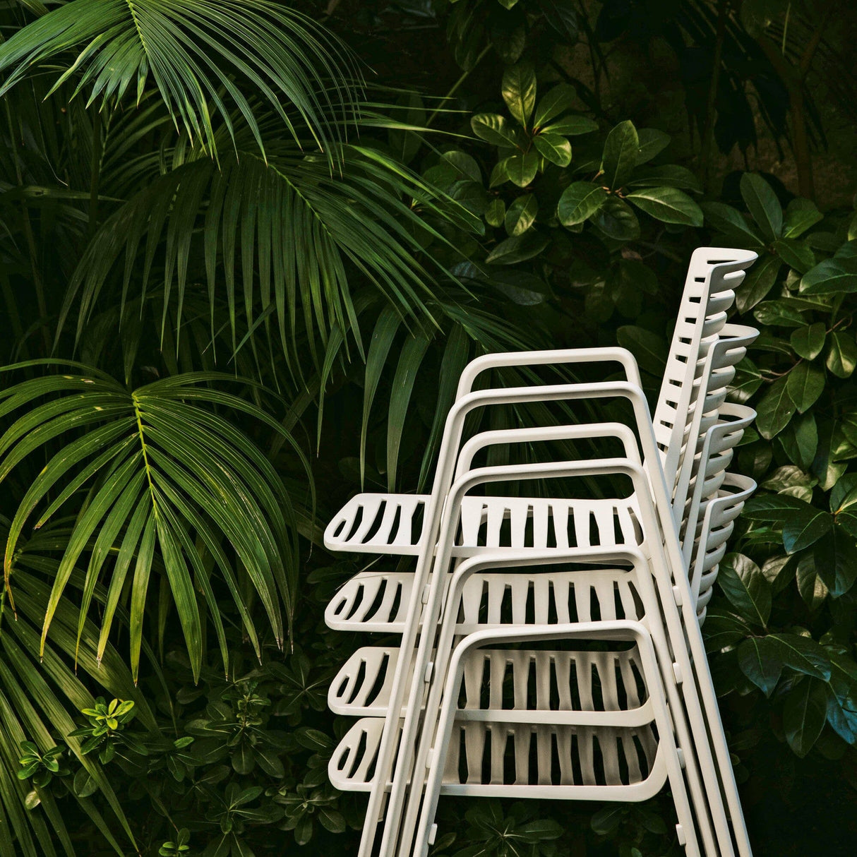 Fast Zebra Fauteuil repas