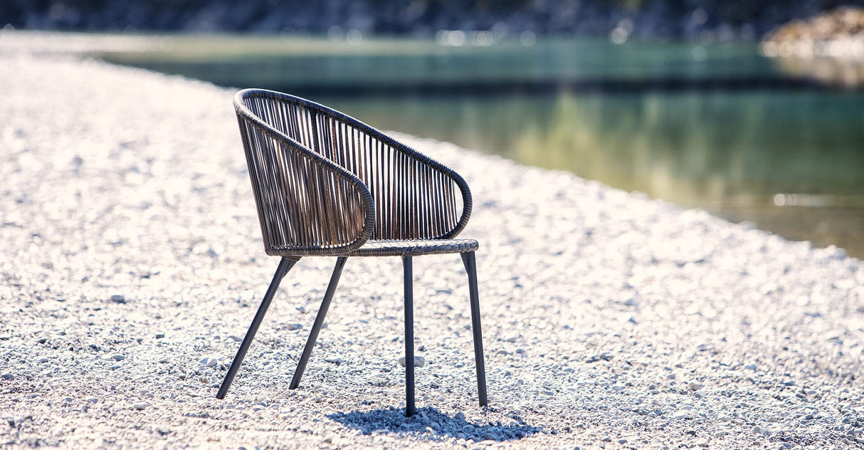 Fischer Möbel Basil Fauteuil repas, Coussins en sus