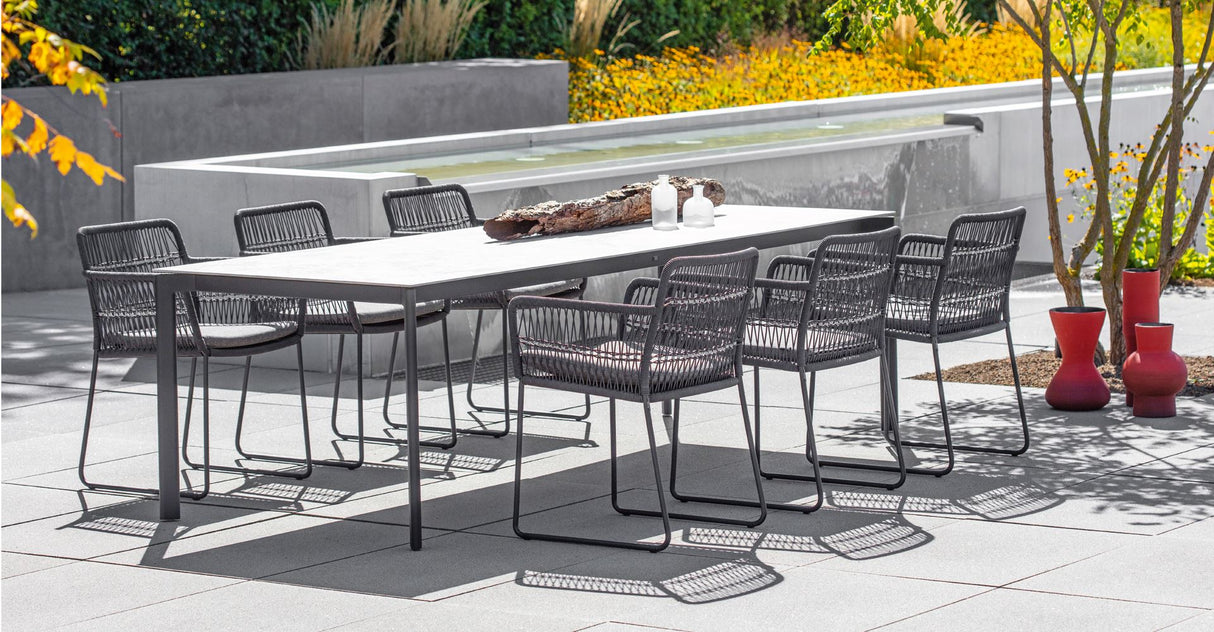 Fischer Möbel Filo Fauteuil repas, coussin en sus