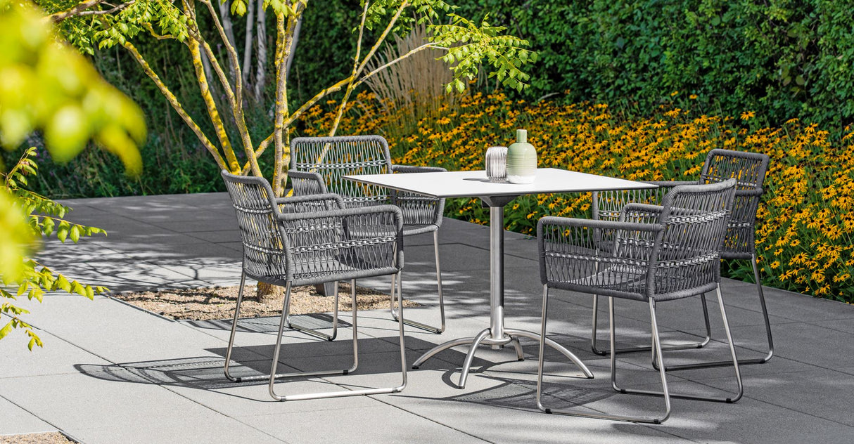 Fischer Möbel Filo Fauteuil repas, coussin en sus