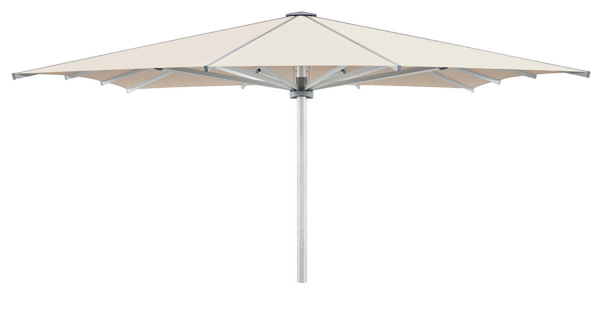 Glatz Palazzo Royal Parasol Professionnel 650x650cm 12 baleines 523 Champagne