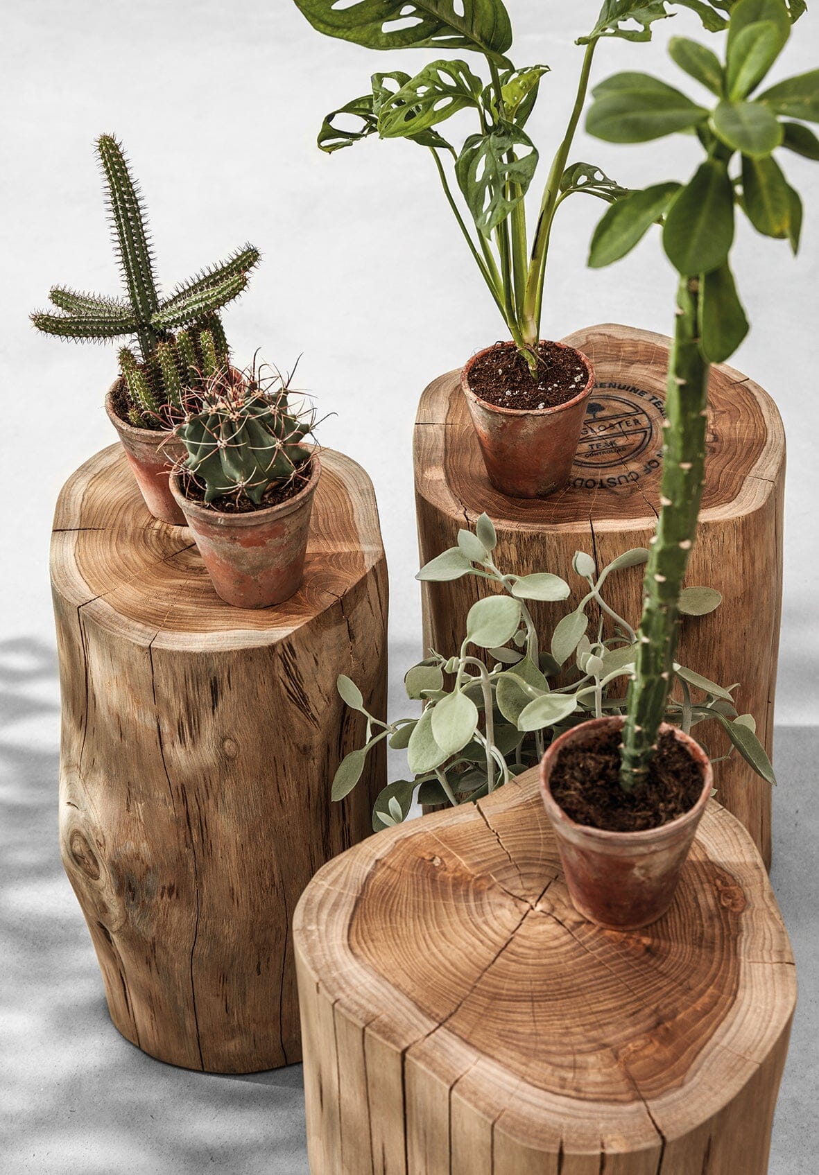 Gloster RAW Log Stool / Side Table Teak- Tronc d'arbre Ø20-35cm h:44.5cm