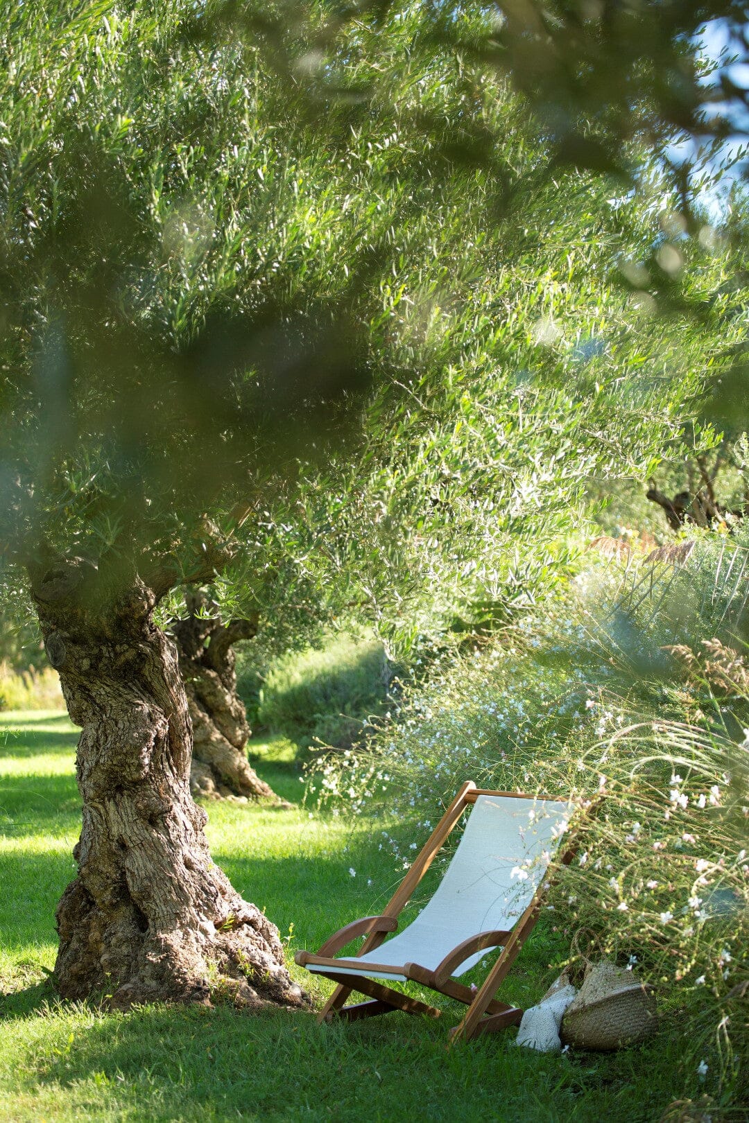 Les Jardins Eden Toile Batyline pour chilienne