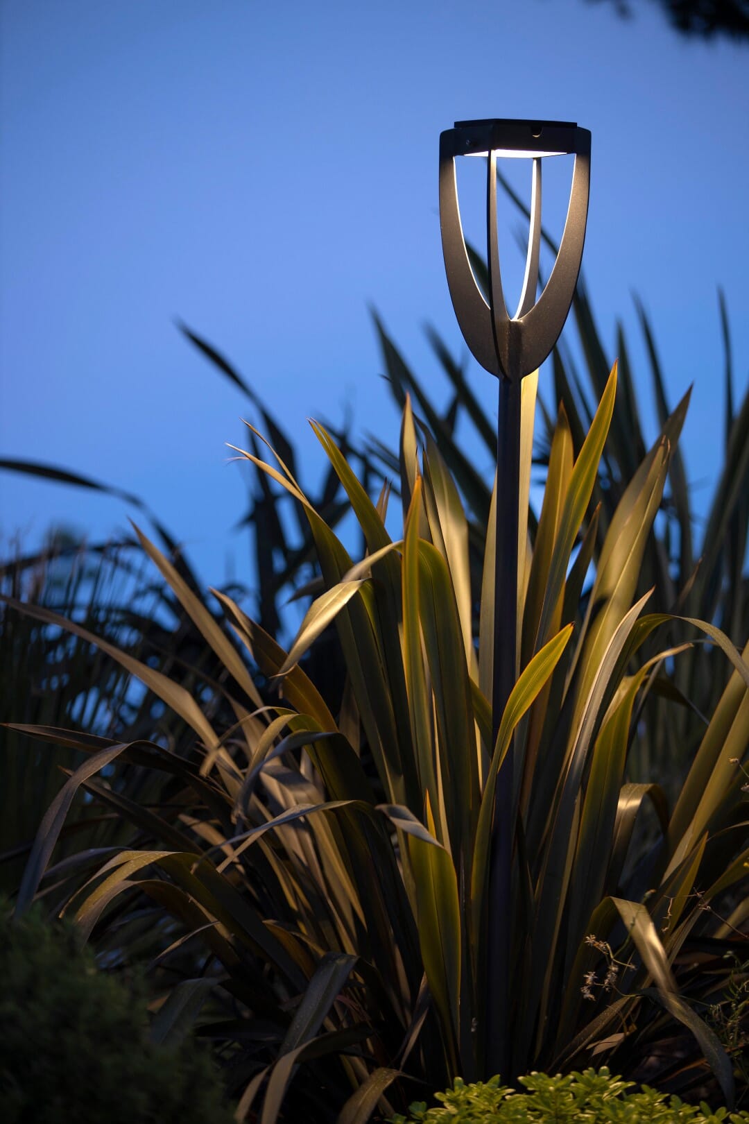 Les Jardins Tulip Torche