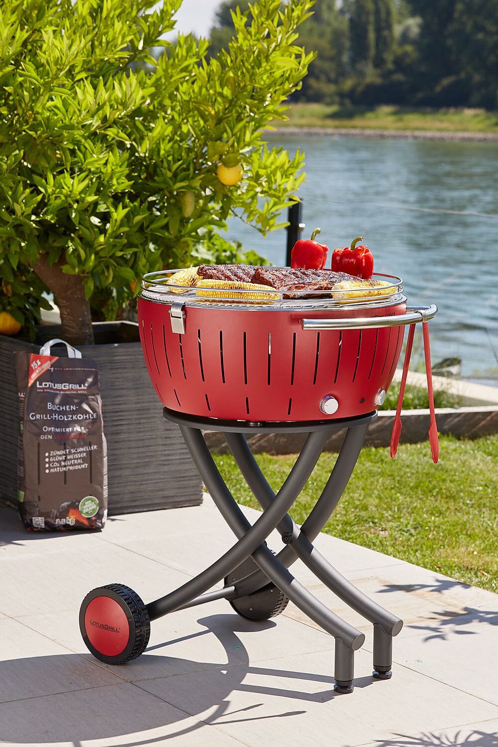 LotusGrill XXL Grill à charbon