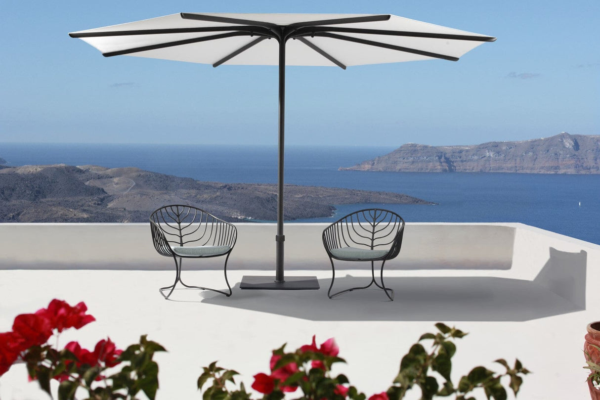 Royal Botania Folia FOL77 Fauteuil bas Lounge