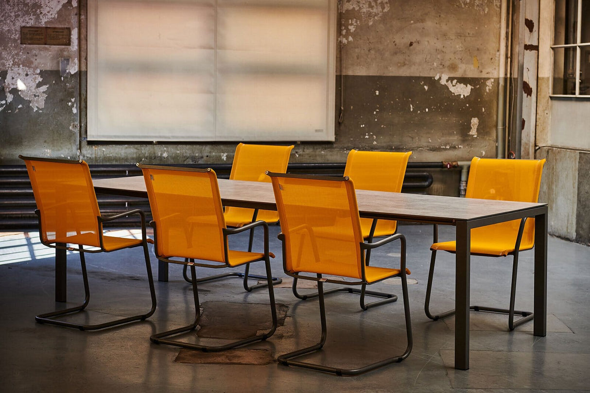 Schaffner Luzern table repas 220x100cm