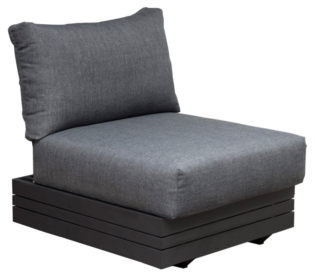 Zebra Cubo Module central Graphite