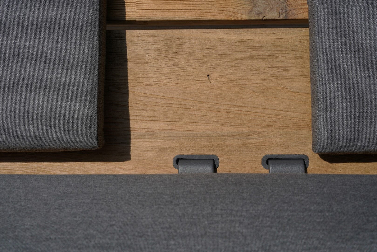 Zebra Phönix Dossier