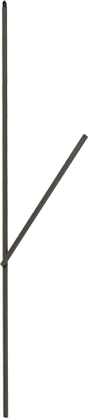 Glatz SUNWING® C+ Baleine complète 1320 mm, graphite