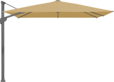 Glatz Parasol FORTANO carre Cat.5 618 Dijon Alu laque anthracite