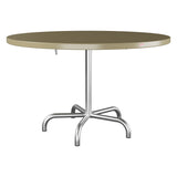 Schaffner Säntis Table repas rabattable Ø117cm – Champagne 85 / Galvanisé à chaud 02
