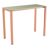 Schaffner Luzern table haute 140x60cm h:110cm – Vert Pastel 64 / Terracotta 84