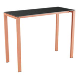 Schaffner Luzern table haute 140x60cm h:110cm – Graphite 73 / Terracotta 84