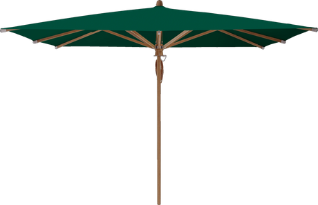 Glatz Parasol TEAKWOOD carre Cat.5 521 Aloe