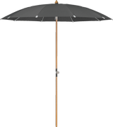Glatz Parasol ALEXO rond Cat.5 669 Carbone