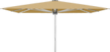 Glatz Parasol PALAZZO Style carre Cat.5 618 Dijon