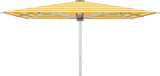 Glatz Parasol PALAZZO Style carre Cat.5 624 Yellow Stripe