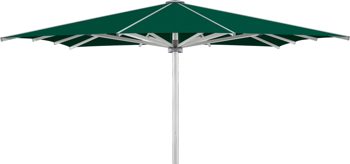 Glatz Parasol PALAZZO Royal carre Cat.5 521 Aloe